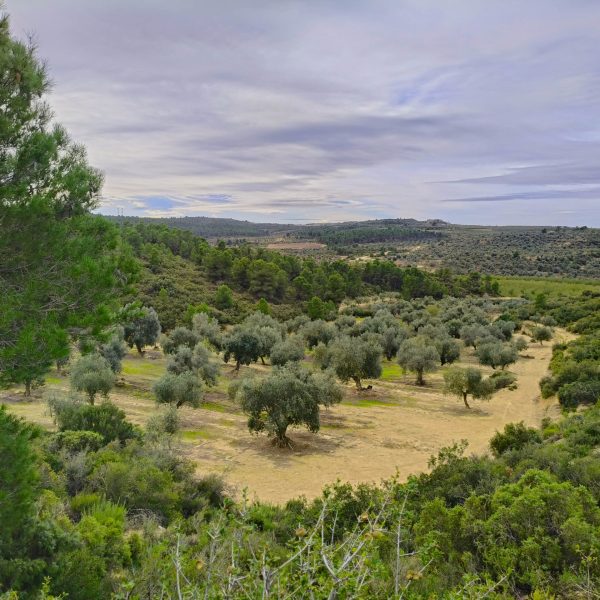 IMG20251123103719 - trini muñoz (3)