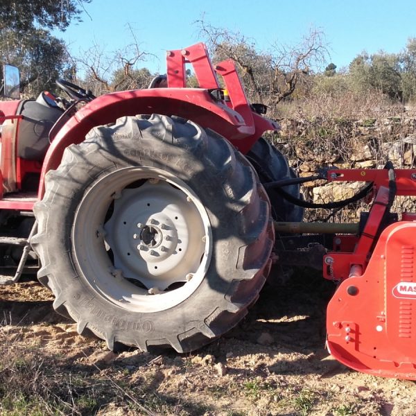 WhatsApp-Image-2025-12-28-at-22.25.32